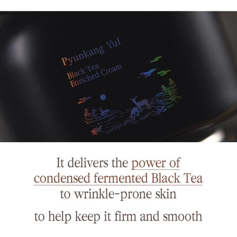 [Pyunkang Yul] Black Tea Enriched Cream for Anti-aging (2.02 Fl. Oz, 60ml)