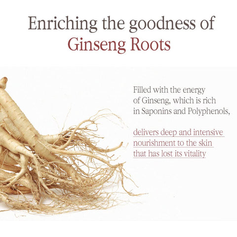 [Pyunkang Yul] Black Tea Enriched Cream for Anti-aging (2.02 Fl. Oz, 60ml)