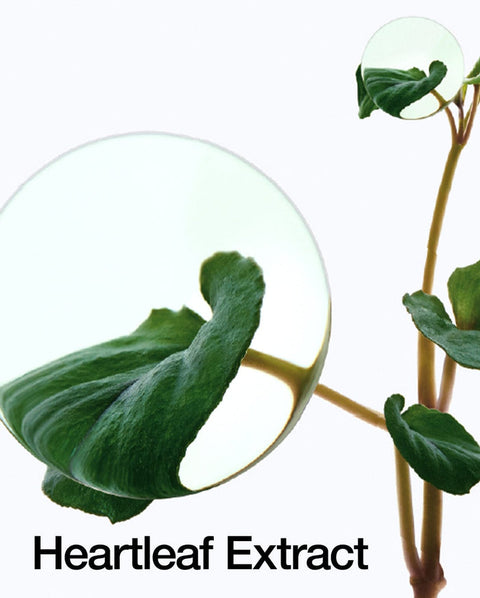 [ANUA] HEARTLEAF 77% TONER PAD (70EA)